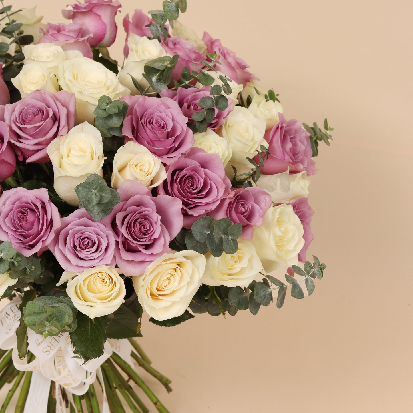 هدوء بنفسجي | Purple Calm – 50 Roses