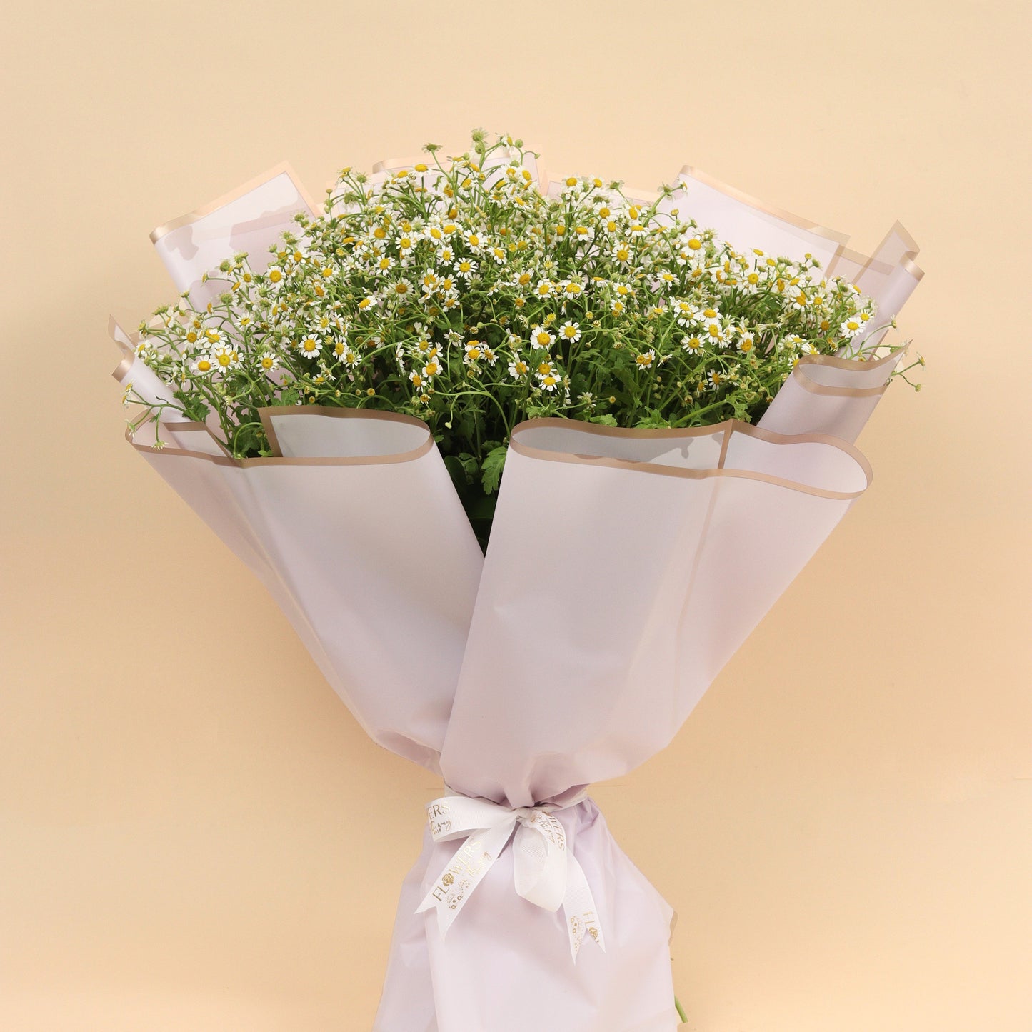 رقة الزهرة | Petal Softness