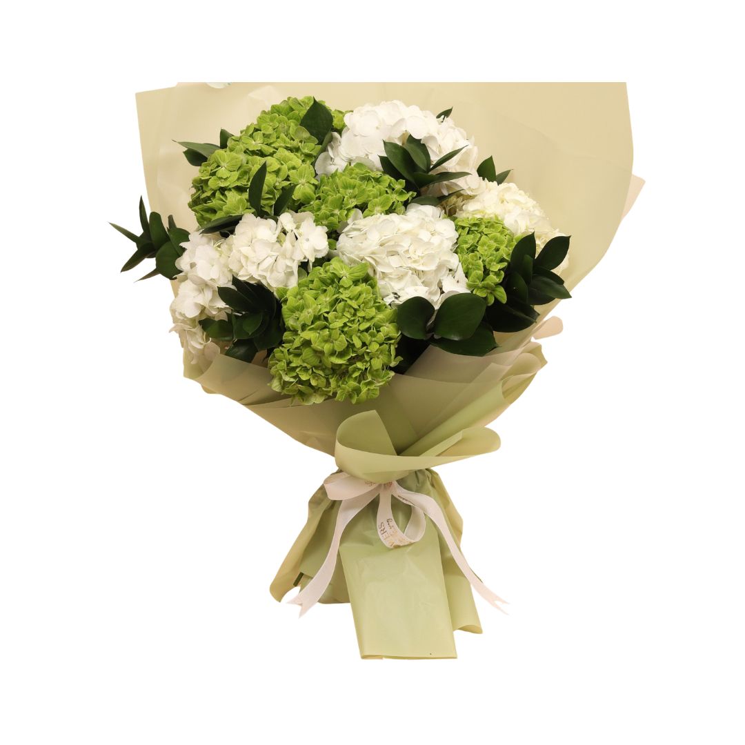 Presenting Joyful Blooms, a lush and airy bouquet that blends the serene elegance of white hydrangeas with the freshness of vibrant green ones. This arrangement is a refined expression of purity, vitality, and effortless charm.
Where freshness meets finesse — designed to inspire, and delivered beautifully across Dubai.