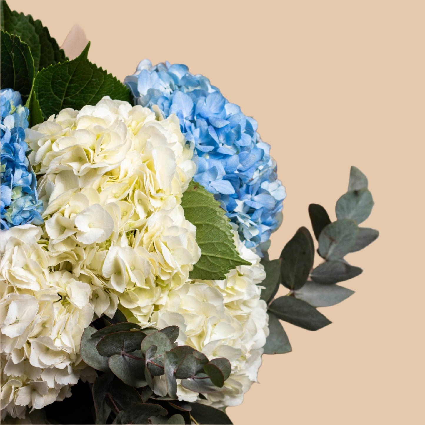 باقة الدوقة | Duchess Bouquet - Flowers On The Way