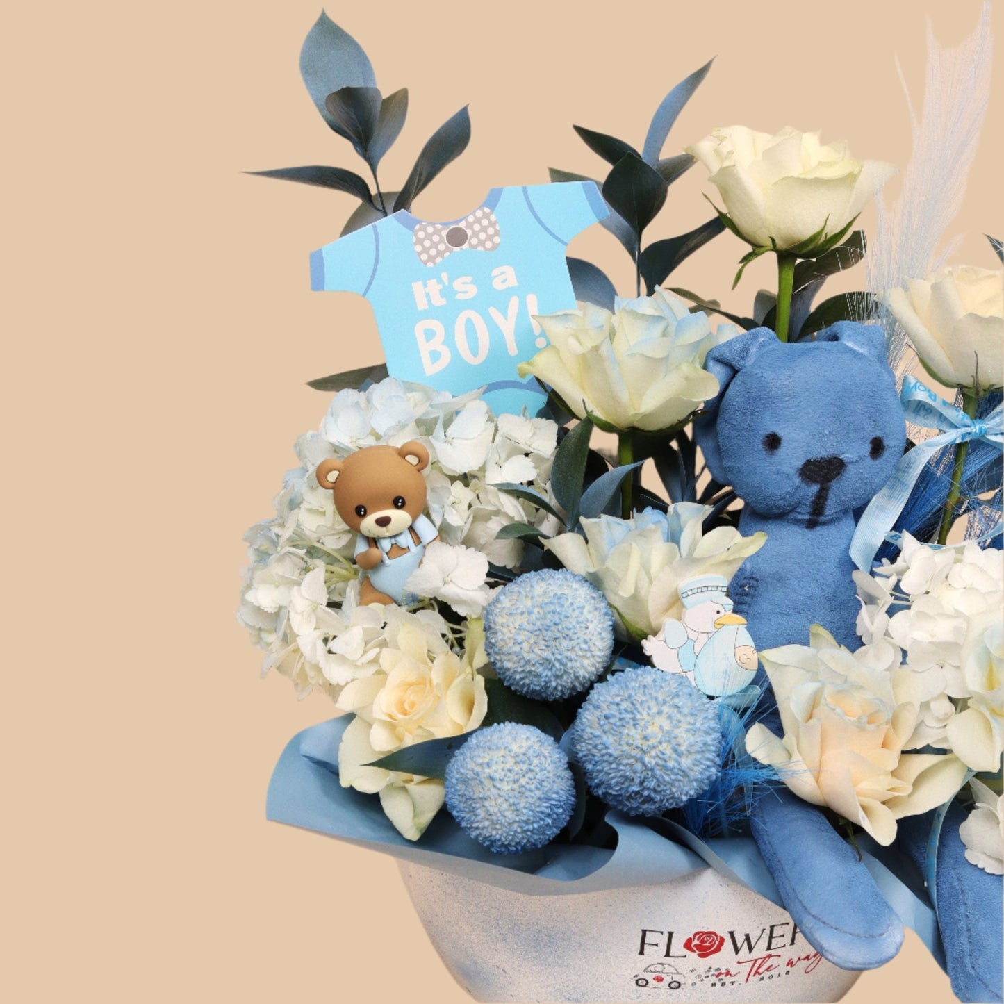 دفء الوليد | Newborn Warmth – Baby Boy - Flowers On The Way