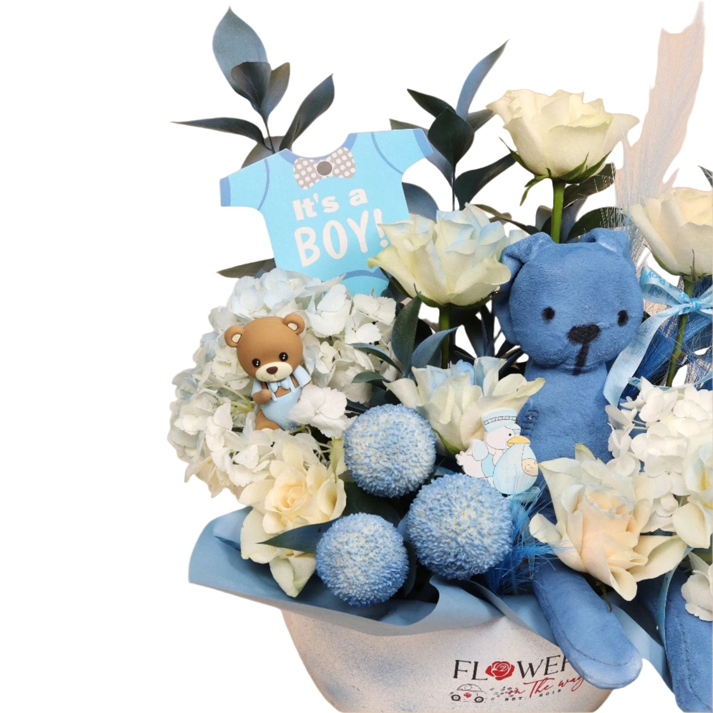 دفء الوليد | Newborn Warmth – Baby Boy - Flowers On The Way
