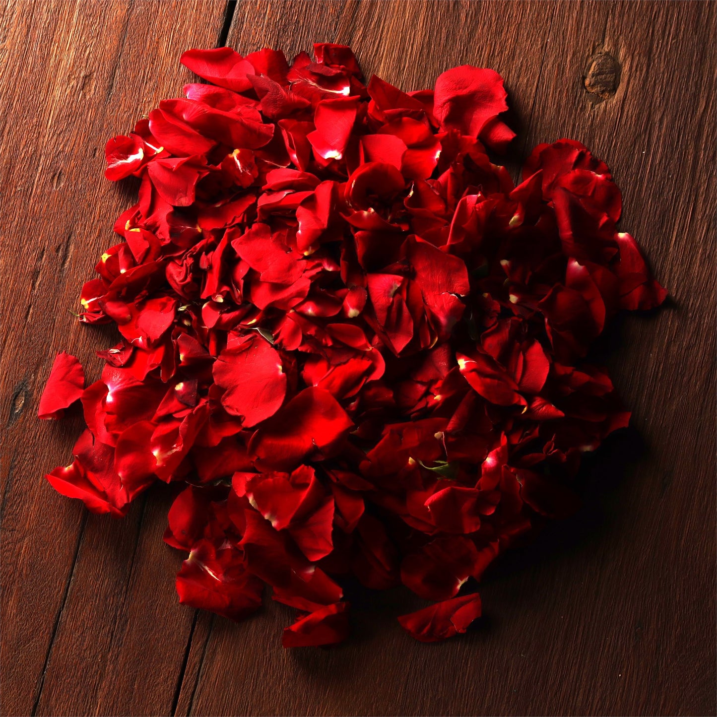 Flower Petals