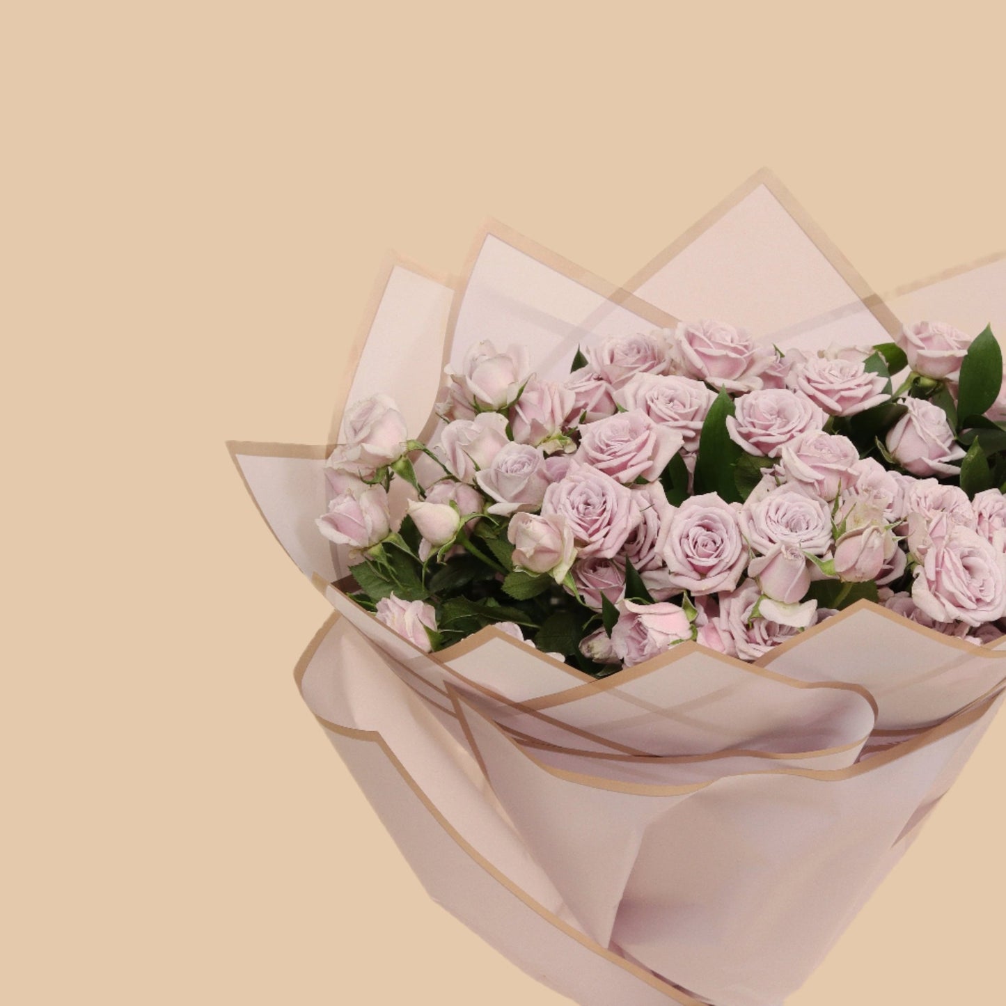 لمسة بنفسج | Violet Touch – Baby Rose - Flowers On The Way