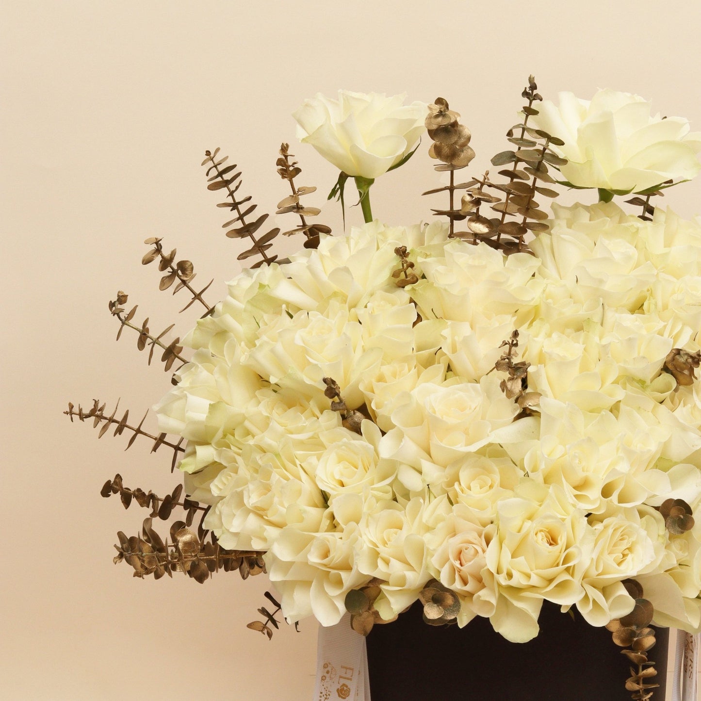 نسمة حياة | Breeze of Life - Flowers On The Way