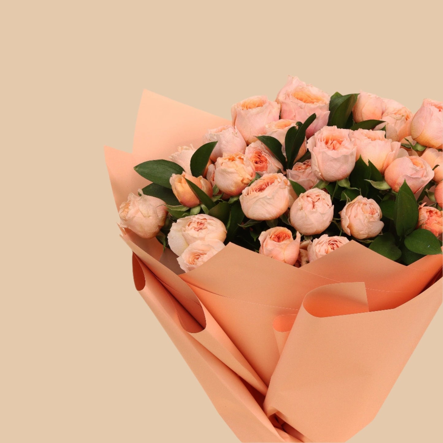 نسمة خوخ | Peach Breeze – Garden Baby Rose - Flowers On The Way