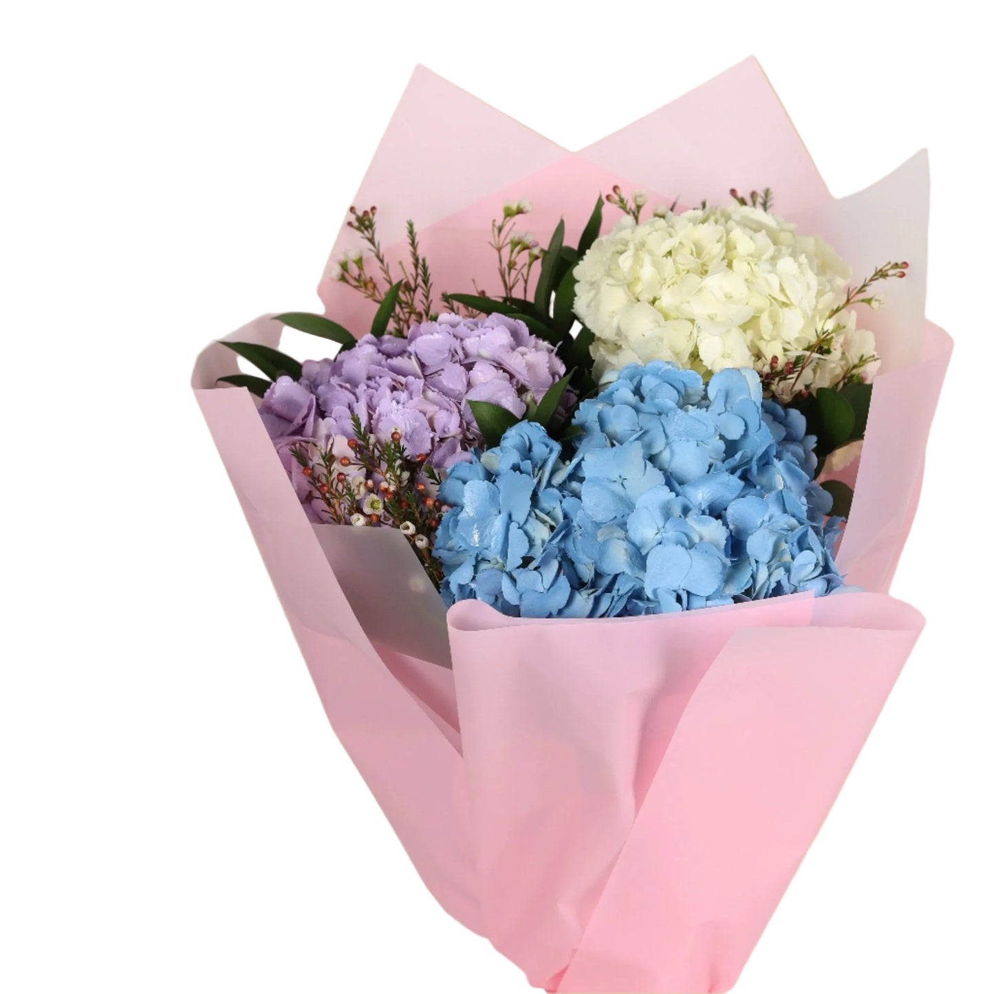 A soft and elegant bouquet of natural hydrangea flowers in beautiful shades of blue, lavender, and white. A perfect choice for refined gifts, graceful celebrations, or to add a calm floral charm to any space.