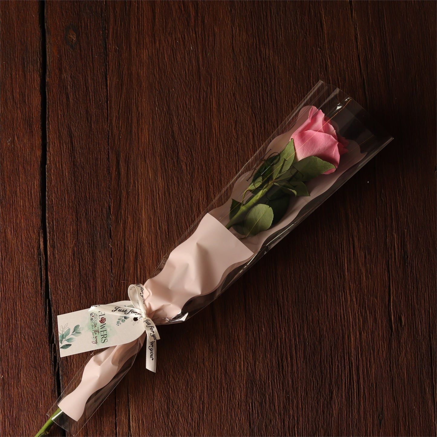 Single Pink Rose