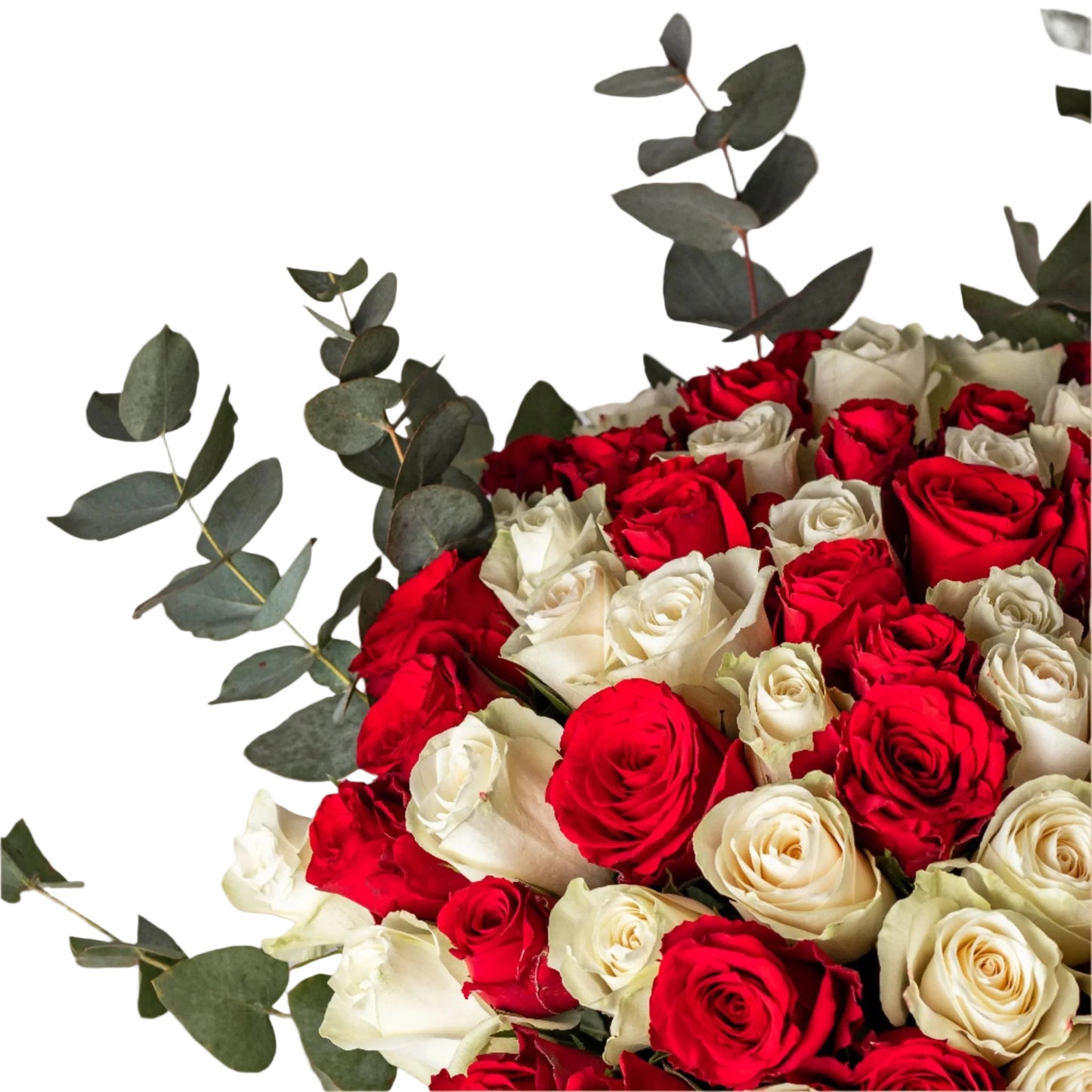 Grace, power, and beauty — Noble Bloom is a majestic bouquet crafted for those who appreciate floral sophistication. Featuring rich-toned blooms and luxurious textures, it exudes royal charm and timeless elegance. A perfect gift for dignified occasions, milestones, or to honor someone truly special. Now available with fast flower delivery across Dubai.