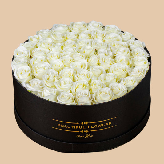 هيبة البياض | The Majesty of White