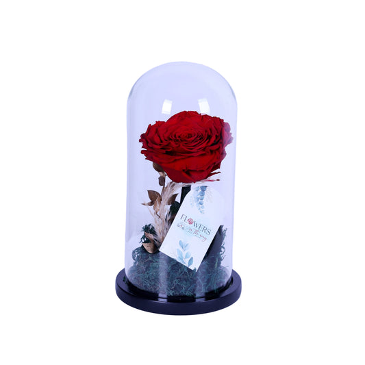 Capture eternal love with the “Forever Flame” Infinity Red Rose, a single preserved red rose that lasts for years, elegantly displayed in a transparent glass dome. Perfect for Valentine’s Day, anniversaries, weddings, or romantic gifts, this luxurious arrangement symbolizes everlasting passion, timeless beauty, and heartfelt emotion. A stunning keepsake that preserves your love forever.