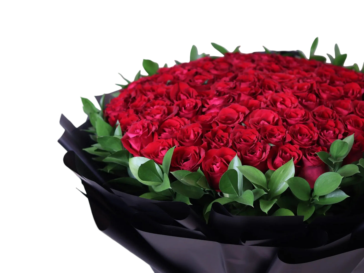 Make a grand statement with our 100pcs Upperclass Red Roses with Fresh Ruscus, elegantly hand-tied in a luxury black wrapping. This premium bouquet is designed for unforgettable moments—perfect for anniversaries, romantic surprises, proposals, and special celebrations.
Featuring rich velvety red roses paired with lush ruscus greenery, this arrangement delivers depth, elegance, and timeless beauty.
Enjoy fast and reliable delivery across Dubai, ensuring your gift arrives fresh and flawless.