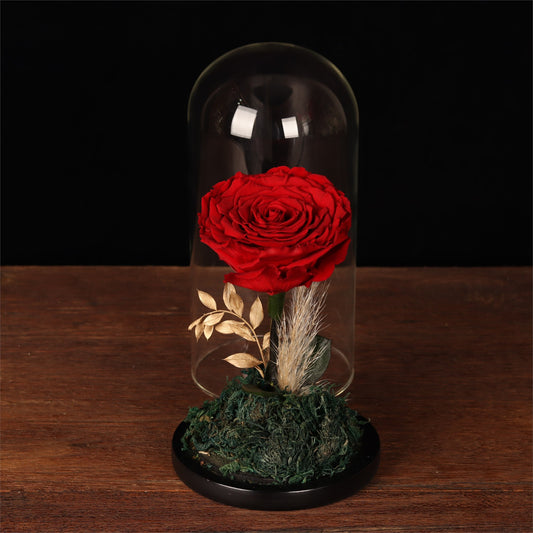 Eternal Rose Glass Dome - alternate view