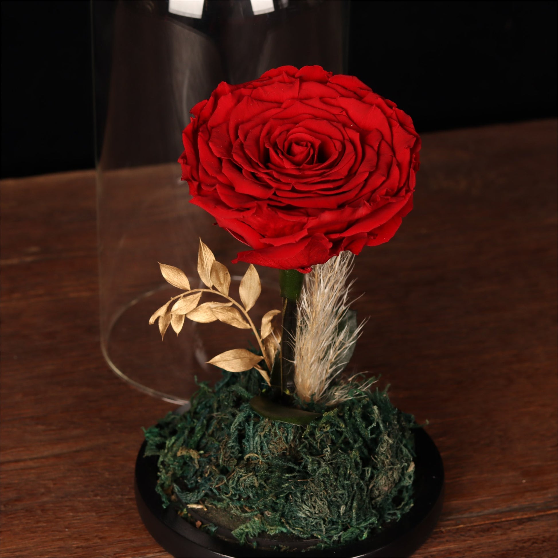 Eternal Rose Glass Dome - alternate view