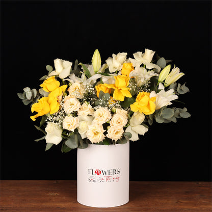 Golden Lily Recovery Box