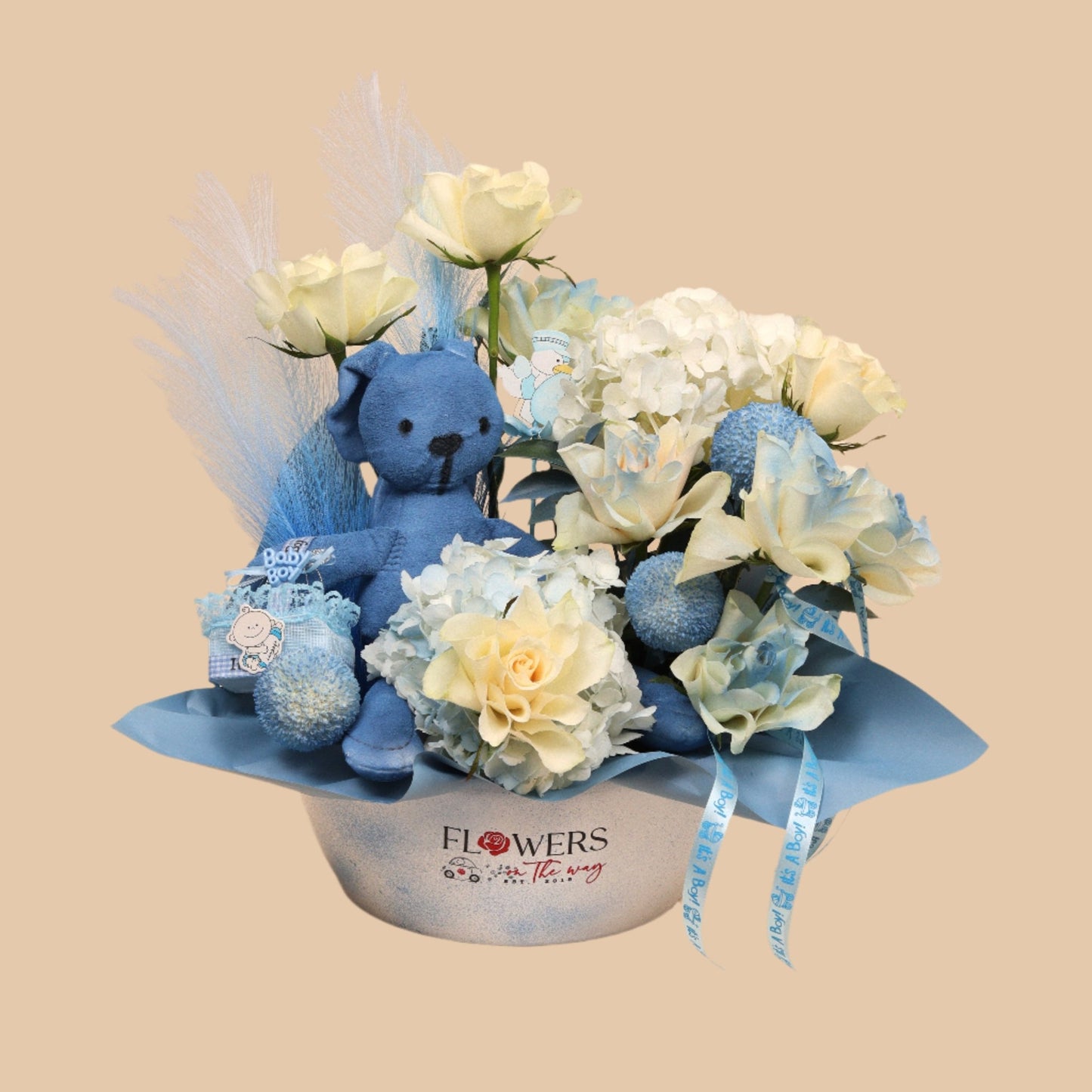 همسة طفل | Little Whisper - Baby Boy - Flowers On The Way