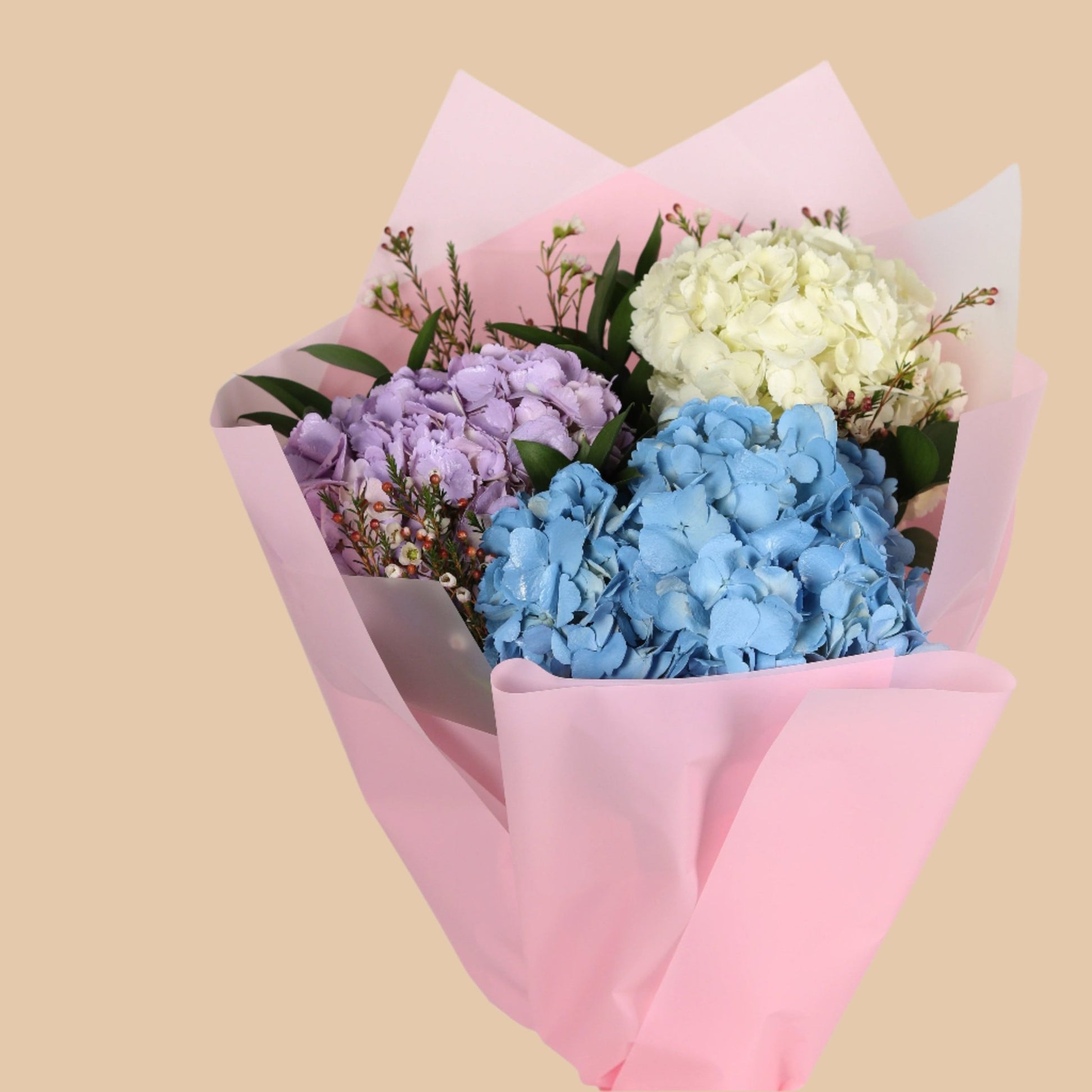 نسيم الهدرانجيا | Hydrangea - Flowers On The Way