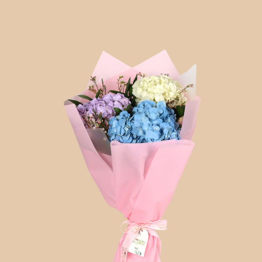 نسيم الهدرانجيا | Hydrangea - Flowers On The Way