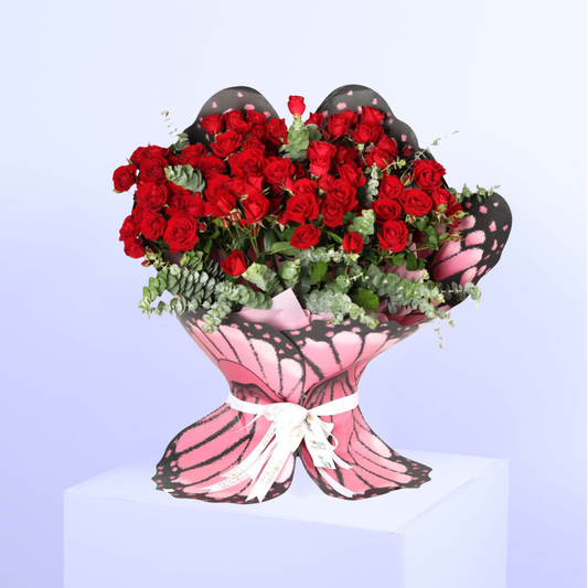 رفرفة الشغف | Passion Wings