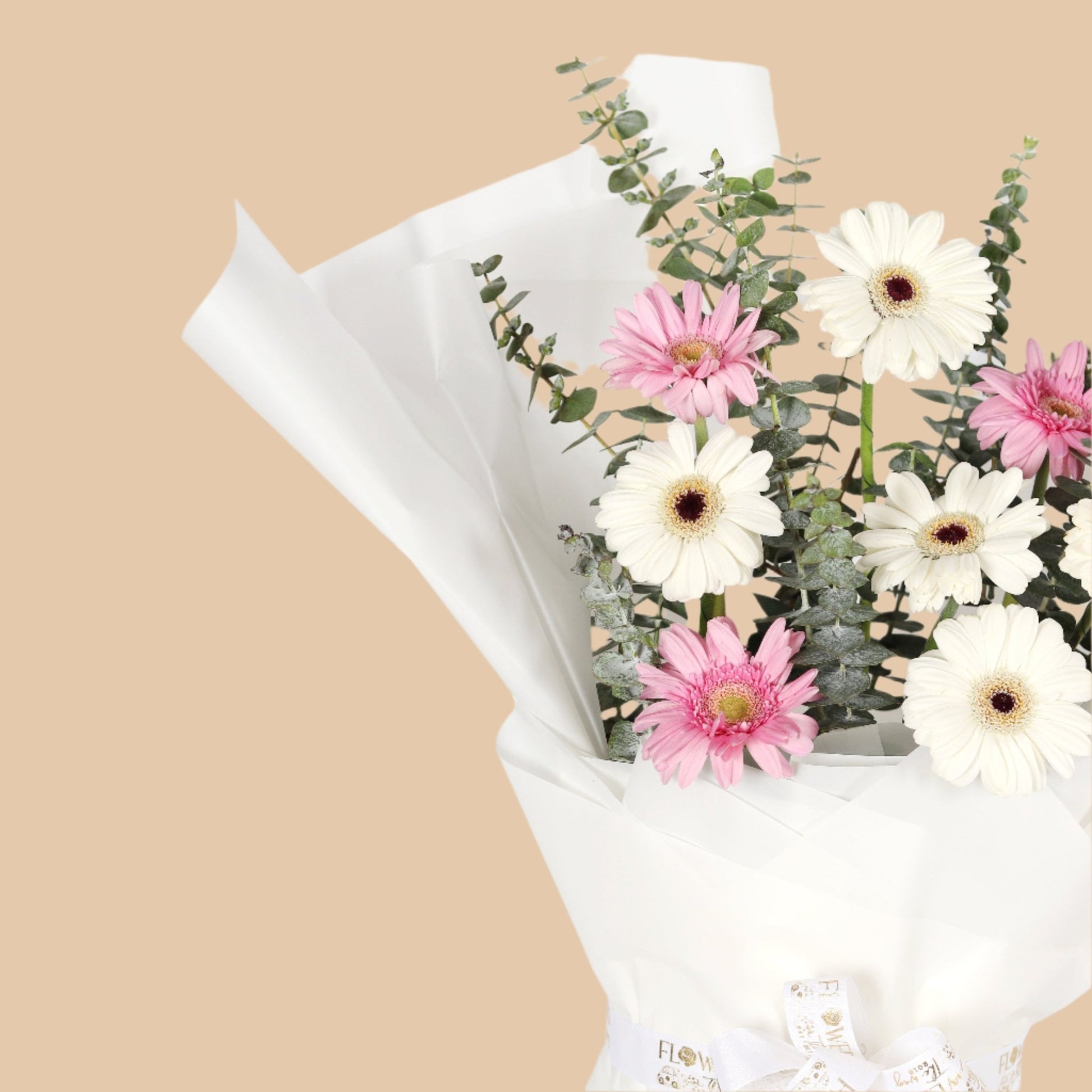 رقّة الزهور | Petal Grace – Pink & White Gerbera Bouquet - Flowers On The Way