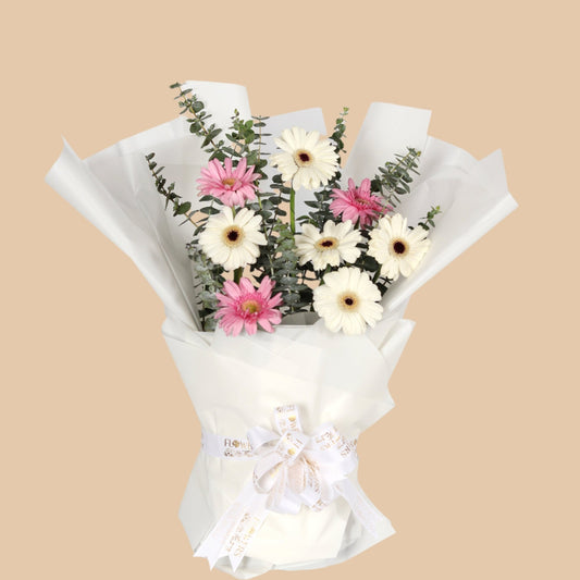 رقّة الزهور | Petal Grace – Pink & White Gerbera Bouquet - Flowers On The Way