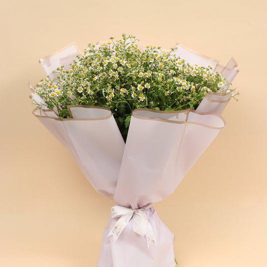 رقة الزهرة | Petal Softness - Flowers On The Way