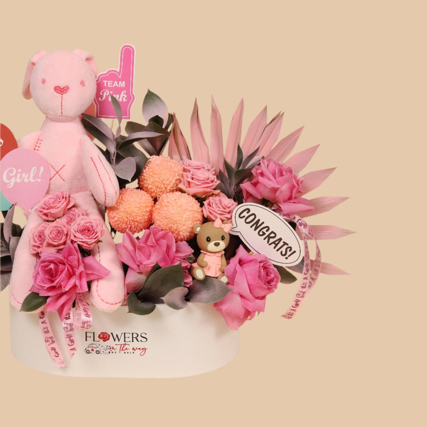 رقة مولودة | Soft Arrival – Baby Girl - Flowers On The Way