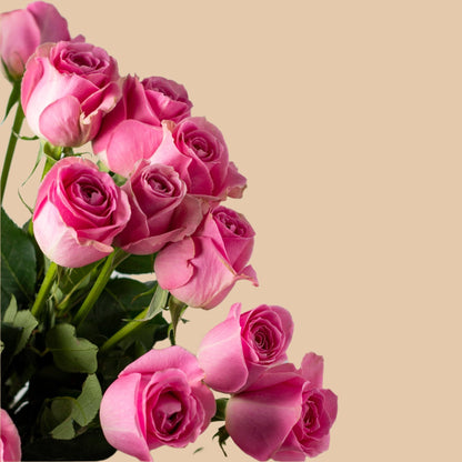 ساق الأناقة | The Graceful Stem - Flowers On The Way