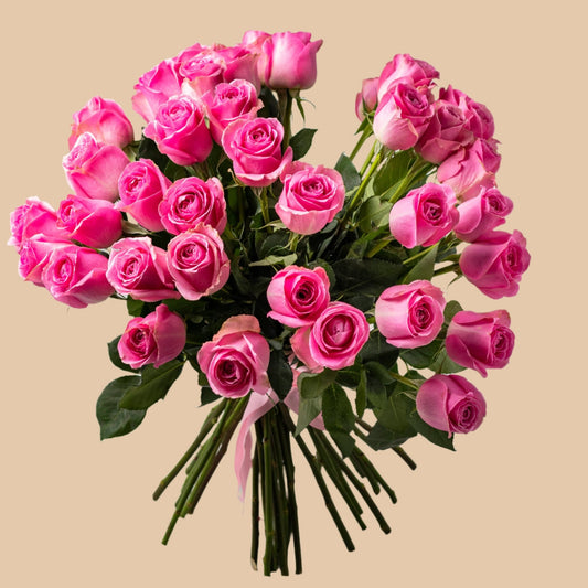 ساق الأناقة | The Graceful Stem - Flowers On The Way