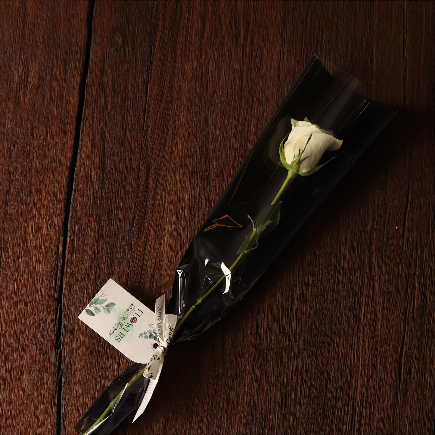 Single White Rose