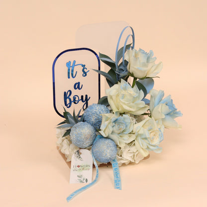 ترحيب أمير | Royal Welcome – Baby Boy - Flowers On The Way