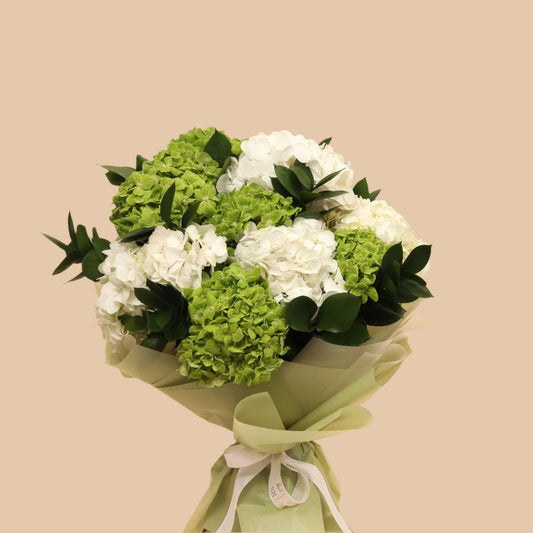 زهر البهجة | Joyful Blooms - Flowers On The Way